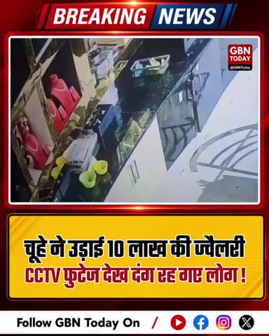 बेंगलुरु के पास अजीबोगरीब चोरी, चूहे ने उड़ाई 10 लाख की ज्वैलरी!#Bengaluru #Tumakuru #BizarreNews #ViralStory #Trending