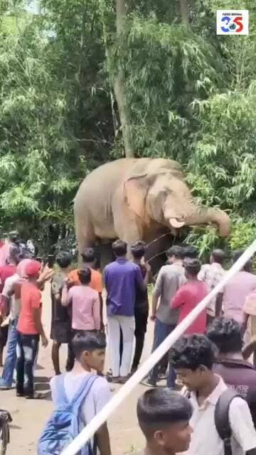 হাতির অবস্থান ৩১/০৭মোট হাতি-৩টি,বড়জোড়া রেঞ্জ: সাহারজোড়া-১টিবেলিয়াতোড় রেঞ্জ: জোড়শাল-২টি