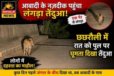 छछरौली आबादी के नजदीक जंगल की तरफ पुल पर घूमता नजर आया लंगड़ा तेंदुआ लोगों में दहशत
#hr71 #Sadora #jagadhri #protest #YNR