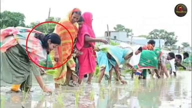 जब खेत बनीं डीएम की कर्मभूमि: बिहार वैशाली की जिलाधिकारी ने महिलाओं संग की धान की रोपनी, तस्वीरें हुईं वायरल...