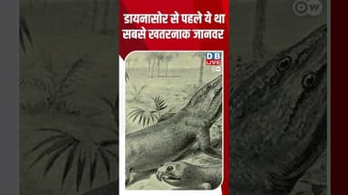 डायनासोर से पहले ये था सबसे खतरनाक जानवर #dwhindinews #science #amphibians