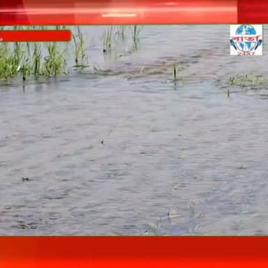 গহপুৰৰ কৃষি ভূমিত পাহাৰীয়া নদীৰ উপৰ্যুপৰি বানত ব্যাপক ক্ষতিৰ সন্মূখীন কৃষক ৰাইজ।
#public #friends #highlights #news #viral #reels #everyone #facebook