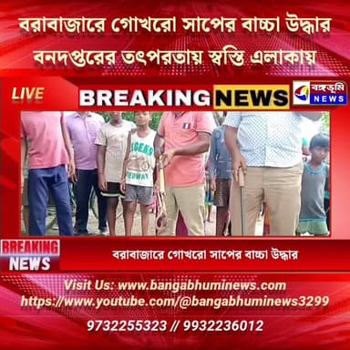 বরাবাজারে গোখরো সাপের বাচ্চা উদ্ধার, বনদপ্তরের তৎপরতায় স্বস্তি এলাকায়