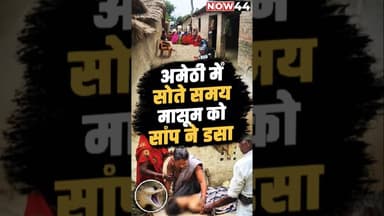 अमेठी में सोते समय मासूम को सांप ने डसा #now44news #ytshorts #breakingnews #up #amethi