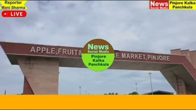 पिंजौर की प्रसिद्ध सेब मंडी पहुंचीं विधायक शक्तिरानी शर्मा, व्यापारियों से किया संवाद एवं नई दुकान के उद्घाटन समारोह में हुईं शामिल।
Like /comment /share / follow instagram and you tube subscribe
https://nsmpkp.com News Social Media Pinjore Kalka Panchkula Reporter mani Pinjore / kalka 30-7-2026,
my E-mail:manisharma4009@ gmail.com what's app no:-9896944009