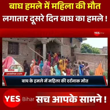 Bihar news : बाघ के हमले में महिला की दर्दनाक मौत, वीटीआर के सीमावर्ती इलाके में दहशत। बिहार के पश्चिम चंपारण मे वाल्मीकि टाइगर रिजर्व से सटे इलाकों में बाघ का आतंक लगातार बढ़ता जा रहा है। लगातार दूसरे दिन बाघ के हमले की घटना सामने आई है। इस बार धान के खेत में काम कर रही एक महिला को बाघ ने अपना शिकार बना लिया। घटना के बाद पूरे इलाके में दहशत का माहौल है।बताया जाता है कि बगहा के नौरंगिया थाना क्षेत्र के मिश्रौलिया रेता गांव में शुक्रवार को उस वक्त अफरा-तफरी मच गई, जब धान के खेत में सोहनी कर रही 45 वर्षीय उमरावती देवी पर गन्ने के खेत में छिपे बाघ ने अचानक हमला कर दिया। बाघ महिला को घसीटते हुए गन्ने के खेत में ले गया। महिला की चीख सुनकर आसपास खेतों में काम कर रहे मजदूर और ग्रामीण मौके की ओर दौड़े। लोगों के शोर मचाने पर बाघ महिला को छोड़कर जंगल की ओर भाग गया। लेकिन तब तक महिला की मौत हो चुकी थी। घटना के बाद पूरे गांव में दहशत फैल गई और ग्रामीणों ने खेतों में जाना बंद कर दिया।सूचना मिलते ही वाल्मीकि टाइगर रिजर्व के वन प्रमंडल-दो की टीम, मदनपुर वन क्षेत्राधिकारी नसीम अंसारी के नेतृत्व में मौके पर पहुंची। नौरंगिया थाना पुलिस ने शव को कब्जे में लेकर पोस्टमार्टम के लिए भेज दिया। वहीं वन विभाग ने बाघ की लोकेशन ट्रेस करने के लिए विशेष अभियान शुरू कर दिया है। गौर करने वाली बात यह है कि एक दिन पहले ही वाल्मीकिनगर वन क्षेत्र में बकरी चरा रहे अकलू यादव पर भी बाघ ने हमला किया था। ग्रामीणों की सूझबूझ से उनकी जान तो बच गई, लेकिन वे गंभीर रूप से घायल हैं और उनका इलाज जीएमसीएच बेतिया में चल रहा है। लगातार दो दिनों में हुए बाघ के हमलों ने वन विभाग की सुरक्षा व्यवस्था पर सवाल खड़े कर दिए हैं।वीटीआर वन संरक्षक-सह-निदेशक,
गौरव ओझा ने कहा घटना की सूचना मिलते ही वन विभाग की टीम मौके पर पहुंच गई है। पूरे मामले की जांच की जा रही है। #WestChamparan #ValmikiTigerReserve #TigerAttack #BiharNews #Bagaha #Naurangia #WildlifeConflict #HumanWildlifeConflict #BreakingNews #ForestDepartment #Bihar #Wildlife #VillageNews #GroundReport #TrendingNews #GMCHBettiah #Valmikinagar #IndiaNews #NatureAlert #PublicSafety
