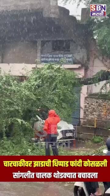 SANGLI | सांगलीत छत्रपती शिवाजी महाराज स्टेडियमजवळ कारवर झाडाची फांदी कोसळली