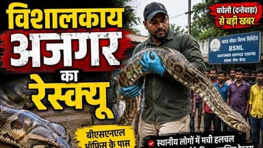 Python Rescue in Dantewada |दंतेवाड़ा मे विशाल काय अजगर को पकड़ा गया | #chhattisgarh #cgnews