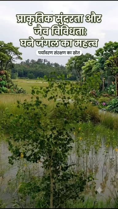खेत के बगल में घना जंगल है, जो प्राकृतिक सुंदरता, जैव विविधता और पर्यावरण संरक्षण का अनमोल स्रोत है।