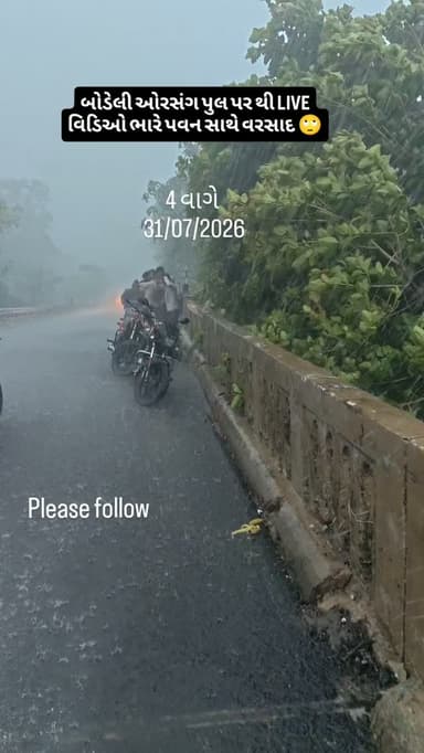 #News
#ViralVideo
#BreakingNews
#GujaratNews
#BodeliNews