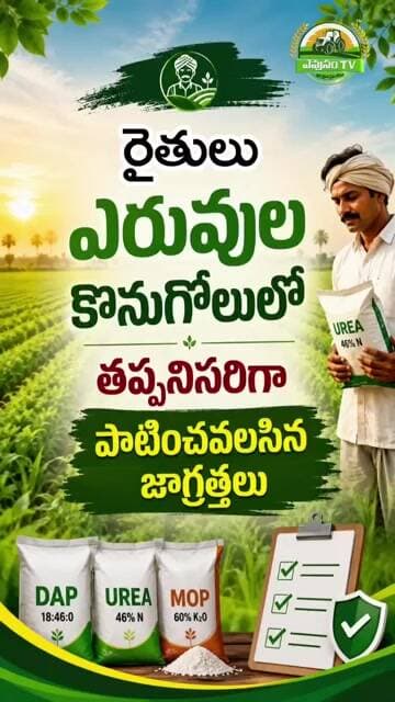 🚨 నకిలీ ఎరువులను ఎలా గుర్తించాలి? రైతులు తప్పక తెలుసుకోవాల్సిన జాగ్రత్తలు | Fake Fertilizers Telugu