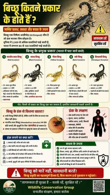 बिच्छू कितने प्रकार के होते हैं?
जानिए प्रकार, खतरा और बचाव के उपाय