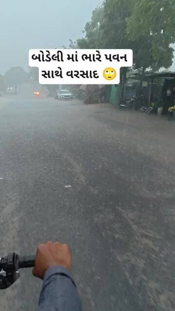 બોડેલી માં ભારે પવન સાથે વરસાદ #weather