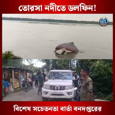 🟢তোরসা নদীতে ডলফিন! বিশেষ সচেতনতা বার্তা বনদপ্তরের