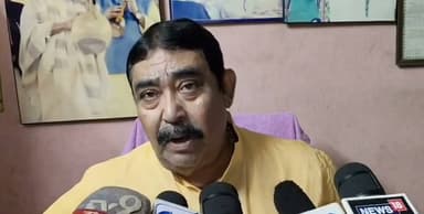 আগের মতো আবোলতাবোল নেই, নিজেই বললেন বীরভূমের বাঘ