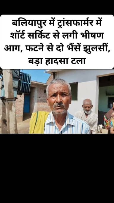 बलियापुर में ट्रांसफार्मर में शॉर्ट सर्किट से लगी भीषण आग, फटने से दो भैंसें झुलसीं, बड़ा हादसा टला। #viral #follower #nonfollowersviewers #facebookreels #hailaight