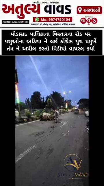 મોડાસા: શહેરના રોડ પર પશુઓને લઈ કોંગ્રેસ યુથ પ્રમુખે તંત્ર ને અપીલ કરતો વિડીયો વાયરલ કર્યો