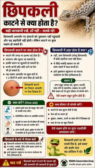 छिपकली काटने से क्या होता है?
सही जानकारी रखें, डरें नहीं- सतर्क रहें!