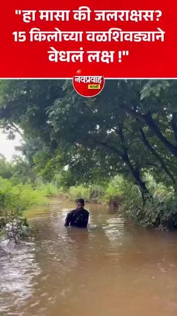 पन्हाळ्यात 15 किलोचा दुर्मिळ वळशिवडा मासा सापडला; विनायक जगताप यांच्या हाती मोठी शिकार