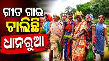 ଧାନ ବିଲରେ ଗୁଞ୍ଜୁଛି ଆଦିବାସୀ ଗୀତ, ପରମ୍ପରାକୁ ଜୀବନ୍ତ ରଖୁଛନ୍ତି କୋରାପୁଟର ମହିଳା
କୋରାପୁଟର ବିଭିନ୍ନ ଅଞ୍ଚଳରେ ବର୍ଷା ଋତୁ ସହ ଆରମ୍ଭ ହୋଇଛି ଧାନରୁଆ କାମ। ଧାନ ବିଲରେ ଏକାଠି ହୋଇ ମହିଳାମାନେ ପାରମ୍ପରିକ ଆଦିବାସୀ ଗୀତ ଗାଇ ଧାନରୁଆ କରୁଛନ୍ତି। ଏହି ସୁର କେବଳ କାମକୁ ସହଜ କରୁନାହିଁ, ବରଂ ପିଢ଼ି ପିଢ଼ି ଧରି ଚାଲିଆସୁଥିବା ଆଦିବାସୀ ସଂସ୍କୃତି ଓ ପରମ୍ପରାକୁ ମଧ୍ୟ ଜୀବନ୍ତ ରଖିଛି।
ପ୍ରକୃତି, ପରିଶ୍ରମ ଓ ଲୋକସଂସ୍କୃତିର ଏହି ଅନନ୍ୟ ସମନ୍ୱୟ କୋରାପୁଟର ପରିଚୟକୁ ଆହୁରି ସମୃଦ୍ଧ କରୁଛି।
ଆପଣଙ୍କ ଅଞ୍ଚଳରେ ମଧ୍ୟ ଏଭଳି ପାରମ୍ପରିକ ଧାନରୁଆ ଗୀତ ଶୁଣିବାକୁ ମିଳେ କି? କମେଣ୍ଟରେ ନିଶ୍ଚୟ ଜଣାନ୍ତୁ।
#Koraput #ଧାନରୁଆ #ଆଦିବାସୀ_ଗୀତ #ପରମ୍ପରା #କୃଷି #OdiaCulture #VoiceOfKoraput