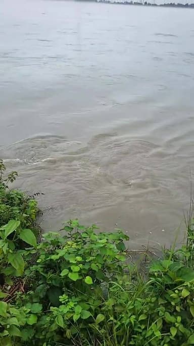 তিস্তা থেকে সরাসরি