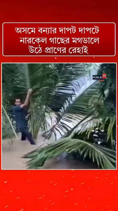 আশা ছাড়েনি! ঘন্টার পর ঘন্টার নারকেল গাছের মগডালে উঠে কোন রকমে উদ্ধারকারী দল উদ্ধার করল আসামে #assam #assamesereels #AssamFloods