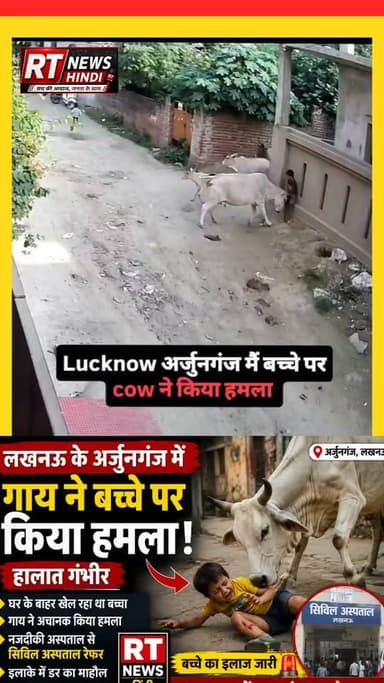 लखनऊ के अर्जुनगंज में आवारा गाय का हमला, घर के बाहर खेल रहे मासूम की हालत गंभीर
राजधानी लखनऊ के अर्जुनगंज इलाके में घर के बाहर खेल रहे एक मासूम बच्चे पर अचानक एक गाय ने हमला कर दिया। बताया जा रहा है कि गाय ने बच्चे को बुरी तरह घायल कर दिया, जिसके बाद परिजनों में अफरा-तफरी मच गई। �
घायल बच्चे को पहले नज़दीकी अस्पताल ले जाया गया, जहां प्राथमिक उपचार के बाद उसकी गंभीर हालत को देखते हुए सिविल अस्पताल रेफर कर दिया गया। फिलहाल बच्चे का इलाज जारी है। �
घटना के बाद इलाके में दहशत का माहौल है। स्थानीय लोगों का कहना है कि आवारा पशुओं का आतंक लगातार बढ़ रहा है और प्रशासन को जल्द ठोस कदम उठाने चाहिए, ताकि भविष्य में ऐसी घटनाएं न हों।
❓RT News का सवाल:
क्या शहरों में बढ़ते आवारा पशुओं पर प्रशासन को अब सख्त और स्थायी कार्रवाई करनी चाहिए? अपनी राय कमेंट में जरूर बताएं।
#LucknowNews #UPNews #BreakingNews #RTNewsHindi