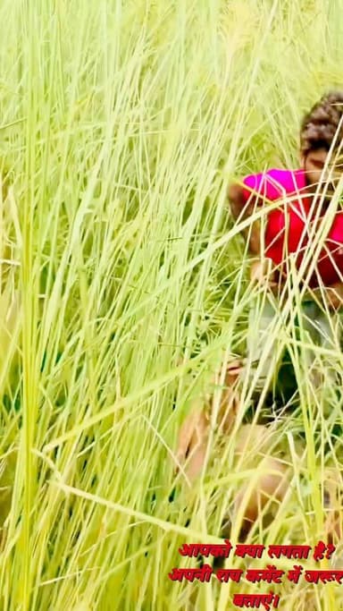 खेत में युवक-युवती का वीडियो वायरल, देखिए आखिर क्या हुआ?
#highlight
#ViralVideo #TrendingNow #SocialMedia #VillageLife #BreakingNews #NewsUpdate #Trending #FacebookViral #HindiNews #LatestUpdate #ViralContent #PublicReaction #IndiaNews #ReelsViral #MustWatch