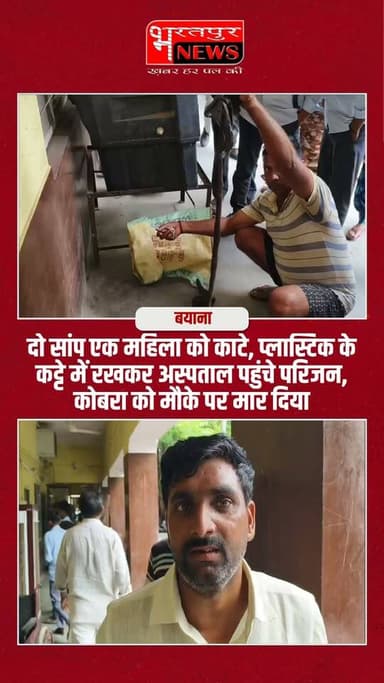 Bharatpur News - दो सांप एक महिला को काटे, प्लास्टिक के कट्टे में रखकर अस्पताल पहुंचे परिजन, कोबरा को मौके पर मार दिया