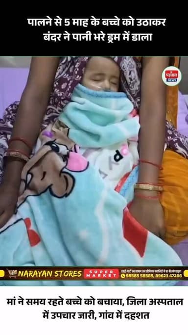 लखनपुर में बंदर का आतंक, 5 माह के मासूम पर हमला
लखनपुर क्षेत्र के ग्राम रजपुरी कला में एक चौंकाने वाली घटना सामने आई। एक बंदर पालने में सो रहे 5 माह के बच्चे को उठाकर पानी से भरे ड्रम में डाल गया। परिजनों की सतर्कता से बच्चे को समय रहते बाहर निकाल लिया गया।
मासूम का जिला अस्पताल में उपचार जारी है। घटना के बाद गांव में दहशत का माहौल है और लोगों ने बंदर के बढ़ते आतंक पर कार्रवाई की मांग की है।
#Lakhanpur #RajpuriKala #MonkeyAttack