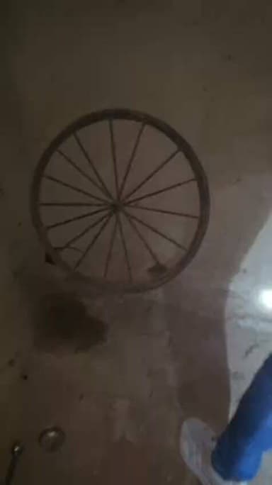 हमीरपुर : 7 फीट लंबा ब्लैक कोबरा देख मचा हड़कंप,
घर की कच्ची दीवार में बने होल में घुसा था ब्लैक कोबरा,
सर्प मित्र ने आकर ब्लैक कोबरा का रेस्क्यू कर निकाला बाहर,
ब्लैक कोबरा की फुसकार सुन ग्रामीण भागे,
ब्लैक कोबरा के रेस्क्यू का वीडियो सोशल मीडिया पर वायरल,
हमीरपुर मुख्यालय के चिनकू का डेरा का मामला।