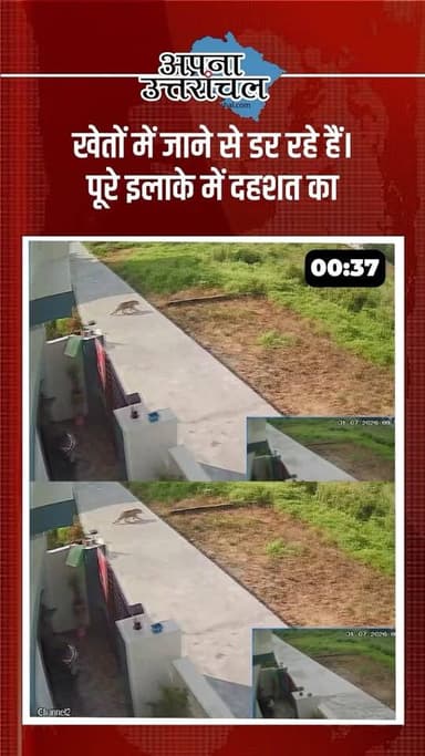 🚨 हल्द्वानी के कमलवागंजा बच्छीनगर में बाघ का आतंक! 🐅
दिनदहाड़े बाघ की मौजूदगी से इलाके में दहशत का माहौल है। एक व्यक्ति पर हमले के बाद ग्रामीणों ने सड़क पर उतरकर वन विभाग के खिलाफ प्रदर्शन किया और बाघ को जल्द रेस्क्यू करने की मांग की।
क्या वन विभाग को तुरंत कार्रवाई करनी चाहिए? अपनी राय कमेंट में बताएं। 👇
📍 Haldwani | Kamalwaganja Bachhinagar | Uttarakhand News
#Haldwani #Tiger #TigerAttack #Kamalwaganja #Bachhinagar