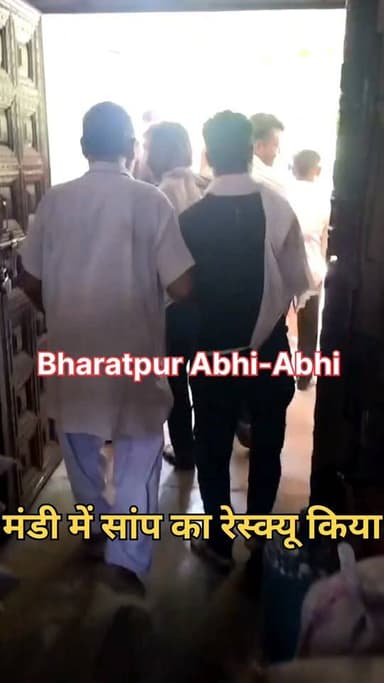 #सांप_निकलने_से_हड़कंप_मचा..
भरतपुर। बयाना कस्बे की अनाज मंडी स्थित एक दुकान में अचानक सांप निकलने से हड़कंप मच गया। दुकान में सांप देखकर आसपास के व्यापारियों और राहगीरों में अफरा-तफरी का माहौल बन गया। स्थानीय लोगों ने तुरंत इसकी सूचना स्नेक कैचर केशव देव को दी। मौके पर पहुंचे स्नेक कैचर ने कड़ी मशक्कत के बाद सुरक्षित तरीके से सांप का रेस्क्यू किया। इसके बाद सांप को कट्टे में बंद कर दूर जंगल में छोड़ दिया गया, तब जाकर व्यापारियों और प्रत्यक्षदर्शियों ने राहत की सांस ली।