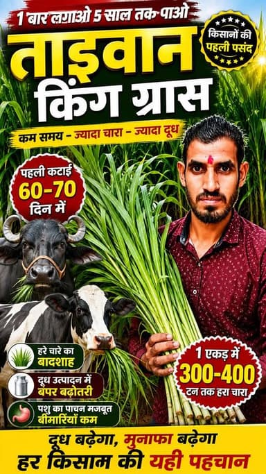 Bio-CNG Plant: The Future of Farming! 🚜💰 Turn Cow Dung Into Big Income
##BioCNG #Biogas #GreenEnergy #RenewableEnergy #farming @top fans Navdeep Singh Harpal Singh Pashu Ratan