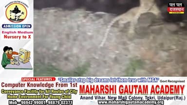उदयपुर जिले के गोगुंदा क्षेत्र में शनिवार देर रात नांदेशमा-ढोल मार्ग स्थित चामुंडा माता मंदिर के पास मुख्य सड़क पर एक लेपर्ड दिखाई दिया। वहां से गुजर रहे युवकों ने लेपर्ड का वीडियो अपने मोबाइल में रिकॉर्ड किया, जो अब सोशल मीडिया पर तेजी से वायरल हो रहा है। ग्रामीणों का कहना है कि पिछले कई दिनों से क्षेत्र में लेपर्ड की गतिविधियां बढ़ गई हैं, जिससे लोगों में दहशत का माहौल है। वन विभाग से इलाके में निगरानी बढ़ाने और सुरक्षा व्यवस्था मजबूत करने की मांग की जा रही है।