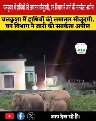 चलकुशा में हाथियों की लगातार मौजूदगी, वन विभाग ने जारी की सतर्कता अपील