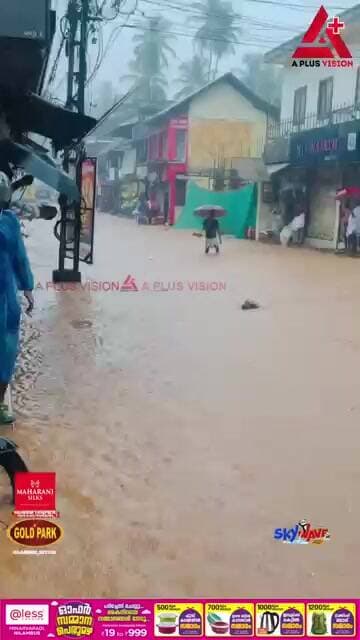 "ഹൊ ഹോയ്"... "ഹൊ ഹോയ്".... ഒരു വഴി തരൂ.....കോഴിക്കോട് കനത്ത മഴയിൽ മുള്ളൻ പന്നി ഒഴുകിയെത്തി..