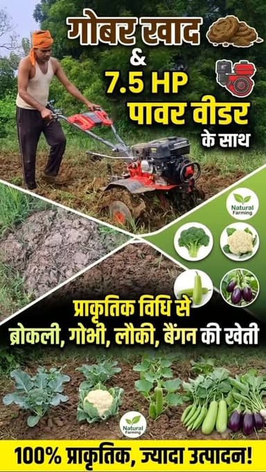 इस खेत में गोबर खाद के साथ 7.5 एचपी पावर वीडर से जुताई कर प्राकृतिक विधि से ब्रोकली, गोभी, लौकी व बैंगन की खेती होगी।