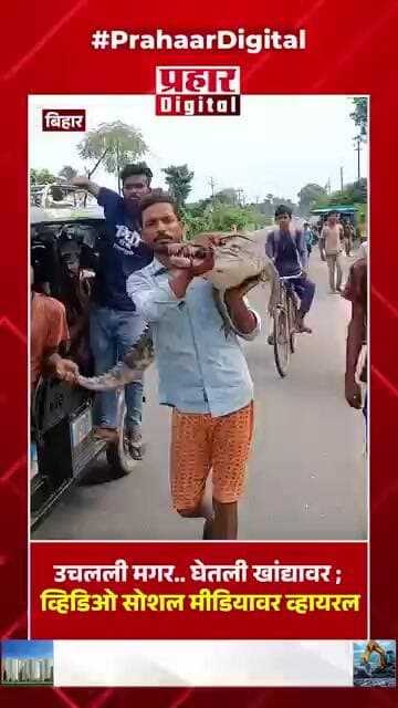 उचलली मगर.. घेतली खांद्यावर ; व्हिडिओ सोशल मीडियावर व्हायरल