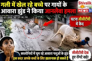 कालोनियों में घूम रहे आवारा पशुओं के झुंड आपके बच्चों के लिए कितने खतरनाक है एक बार विडियो जरूर देखें
#hr71 #Sadora #jagadhri #protest #YNR #cmoharyana #NayabSaini