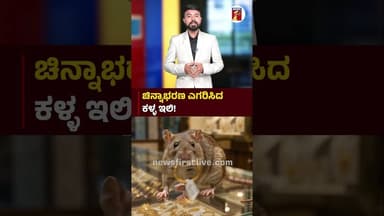 ಚಿನ್ನಾಭರಣ ಎಗರಿಸಿದ ಕಳ್ಳ ಇಲಿ #Rat #GoldTheaft #VishwasJewelleryShop #Tumakuru #CCTV