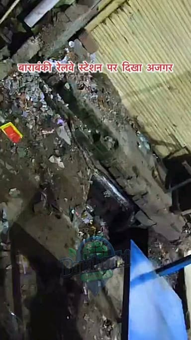 बाराबंकी रेलवे स्टेशन पर दिखा अजगर 👍#barabanki #ViralVideo #ViralPost