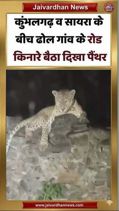 राजसमंद में चल रही थी एमडी ड्रग्स की फैक्ट्री, पुलिस ने दबोचे 5 आरोपी
.
#Panthervideo #Jaivardhannews