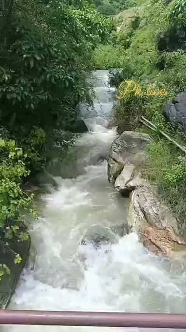रुद्रप्रयाग में बड़ा हादसा: घास लेने गई महिला गदेरे में बही, SDRF-जल पुलिस ने शुरू किया रेस्क्यू ऑपरेशन!!
जनपद रुद्रप्रयाग के बसुकेदार क्षेत्र में रविवार को एक दर्दनाक हादसा सामने आया। ग्राम स्वारा के नामी तोक में घास लेने गई एक महिला के गदेरे के तेज बहाव में बह जाने की सूचना से पूरे क्षेत्र में हड़कंप मच गया।
जानकारी के अनुसार, आज 02 अगस्त 2026 को प्रातः 11:32 बजे ग्राम प्रधान सेमकोटी ने जिला प्रशासन को सूचना दी कि ग्राम स्वारा के तिमली क्षेत्र से आगे एक महिला घास लेने गई थी, जो अचानक गदेरे के तेज बहाव में बह गई।
सूचना मिलते ही जिला आपातकालीन परिचालन केंद्र, रुद्रप्रयाग ने तत्काल कार्रवाई करते हुए जल पुलिस, SDRF एवं DDRF बसुकेदार की टीमों को घटनास्थल के लिए रवाना कर दिया। राहत एवं बचाव दल द्वारा महिला की तलाश के लिए सर्च ऑपरेशन युद्धस्तर पर चलाया जा रहा है।
लापता महिला की पहचान विनीता देवी (38 वर्ष), पत्नी हिम्मत सिंह नेगी, निवासी ग्राम कोटी के रूप में हुई है।
प्रशासन ने बताया कि रेस्क्यू अभियान जारी है और महिला की तलाश के लिए सभी संभावित स्थानों पर सघन खोजबीन की जा रही है। घटना के बाद क्षेत्र में चिंता का माहौल बना हुआ है।