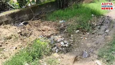 हरियाणा के इस गांव का रास्ता है सबसे गंदा #लोगों ने रोड़ बनवाने की उठाई मांग #सरपंच प्रतिनिधि ने बताया असली कारण