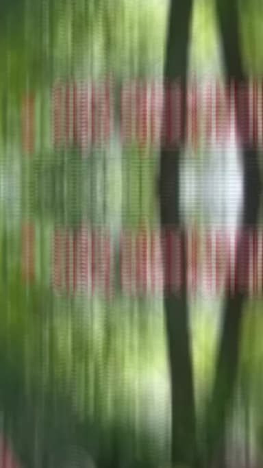 सतना में दिल दहला देने वाली घटना! 14 साल की बच्ची का शव झाड़ियों में मिला, आखिर कब मिलेगा इंसाफ? 😢 | Satna News
सतना