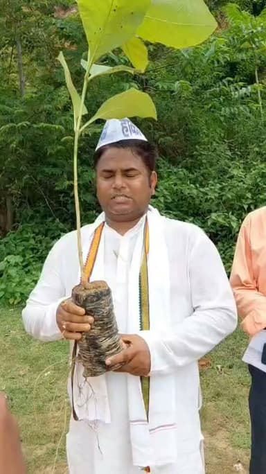 61 हजार वोट के सम्मान में 61 हजार पौधे लगाने का संकल्प, जमालपुर में 501 पौधों का रोपण
इंडियन इंक्लूसिव पार्टी की ओर से रविवार को काली पहाड़ी की तराई एवं वाटर फिल्टर परिसर में वृक्षारोपण अभियान चलाया गया। जिलाध्यक्ष सह महागठबंधन के पूर्व प्रत्याशी नरेंद्र कुमार तांती के नेतृत्व में 501 फलदार, छायादार एवं सागवान के पौधे लगाए गए।
#मुंगेर #MungerDistrict #जमालपुर #कालीपहाड़ #आईपी