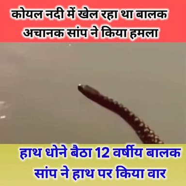 बच्चों की चीख-पुकार से
दौड़कर पहुंचे ग्रामीण,लोहरदगा सदर अस्पताल में भर्ती
डॉक्टरों की निगरानी में इलाज जारी