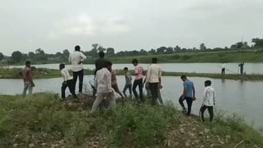 शामगढ़ तहसील के ग्राम बनी में दिखा मगरमच्छ वन विभाग की तीन सदस्य की टीम मौके पर.....
👇👇👇👇
मगरमच्छ ने बनाया बकरी को शिकार
