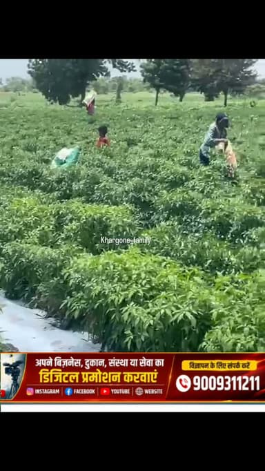 आपके यहां क्या रेट मिला कमेंट कर जरूर बताएं ताकि दूसरे किसान भी जान सके #khargone_family